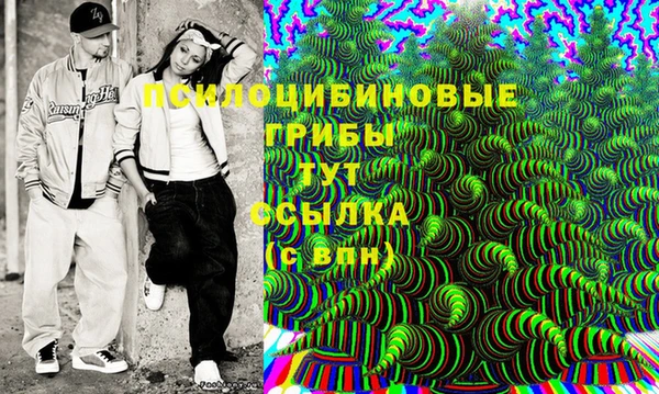 мескалин Ельня